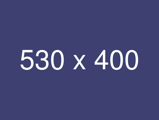 530x400