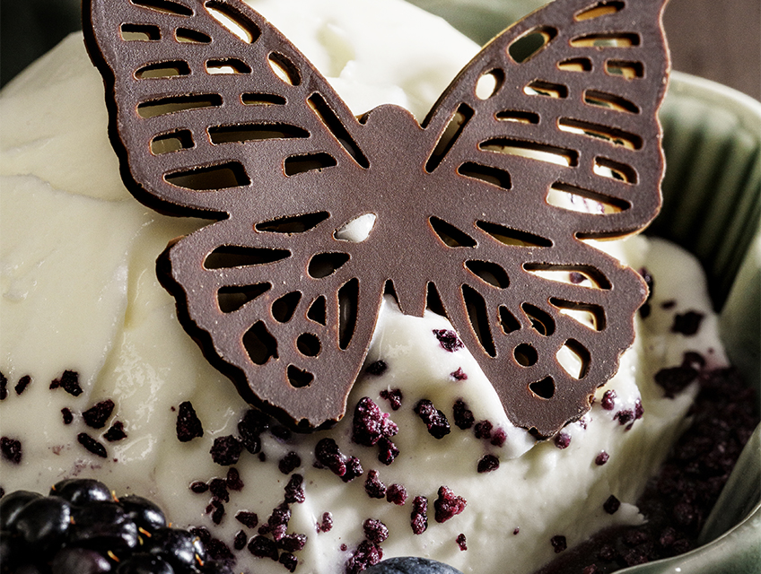 Domori-gelato-con-frutti-rossi-848x640px