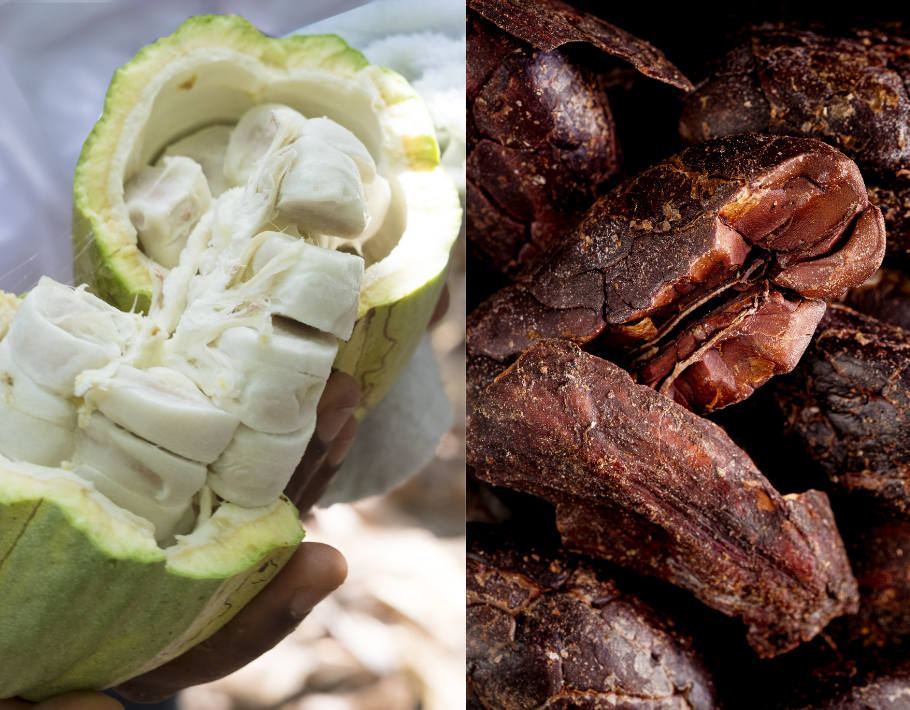 Domori - Cabossa and Cacao