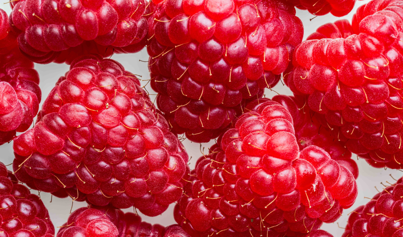 Ravifruit - IQF - Raspberry