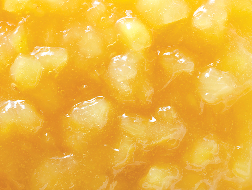 Ravifruit-ananas-compotee-848x640px