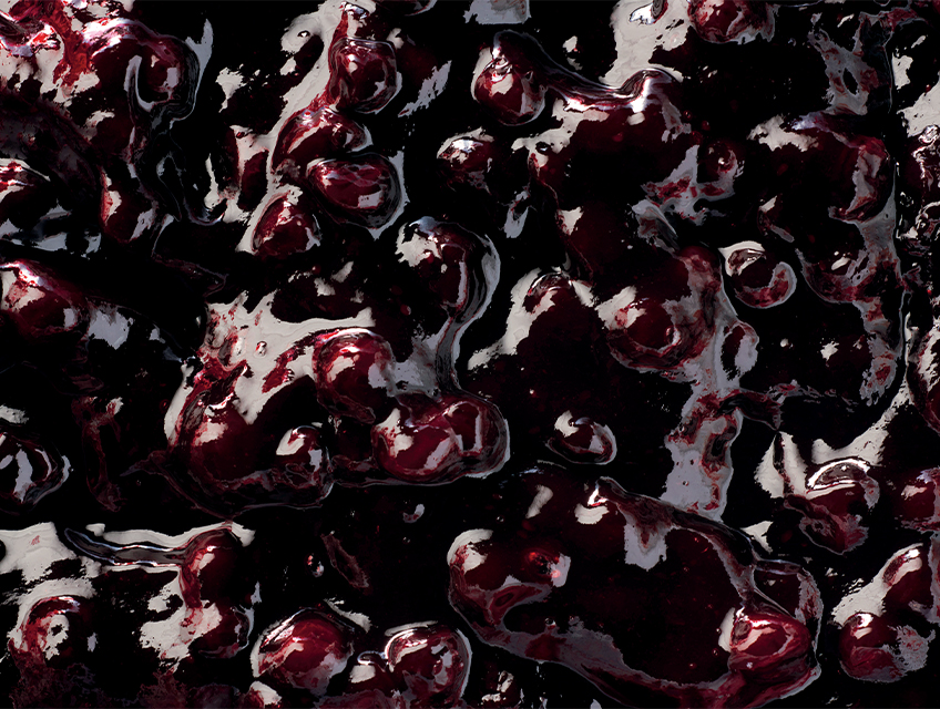 Ravifruit-blueberry-compotee-848x640px