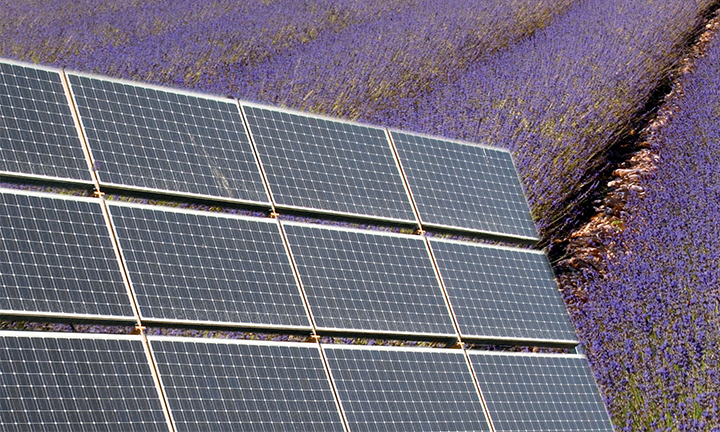 Ravifruit-energy-zoom-image-720x432px