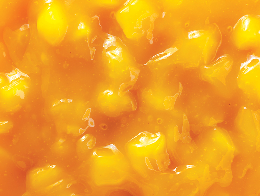 Ravifruit-mango-compotee-848x640px