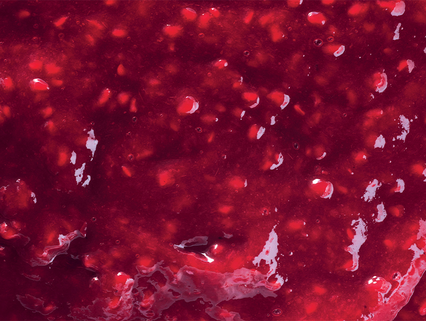 Ravifruit-raspberry-compotee-848x640px