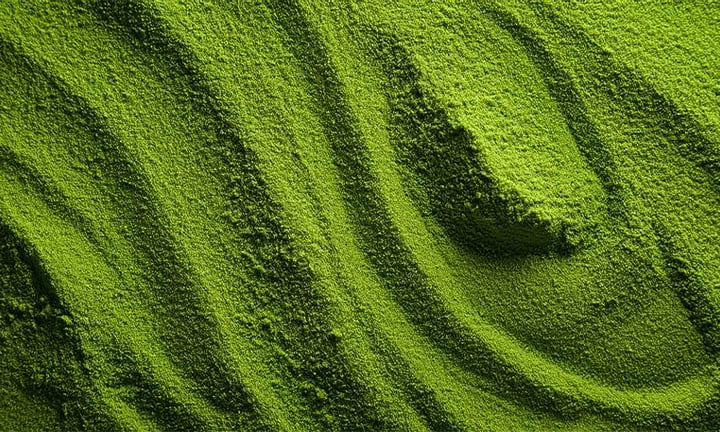 IRCA - food trends 2026 asian flavours