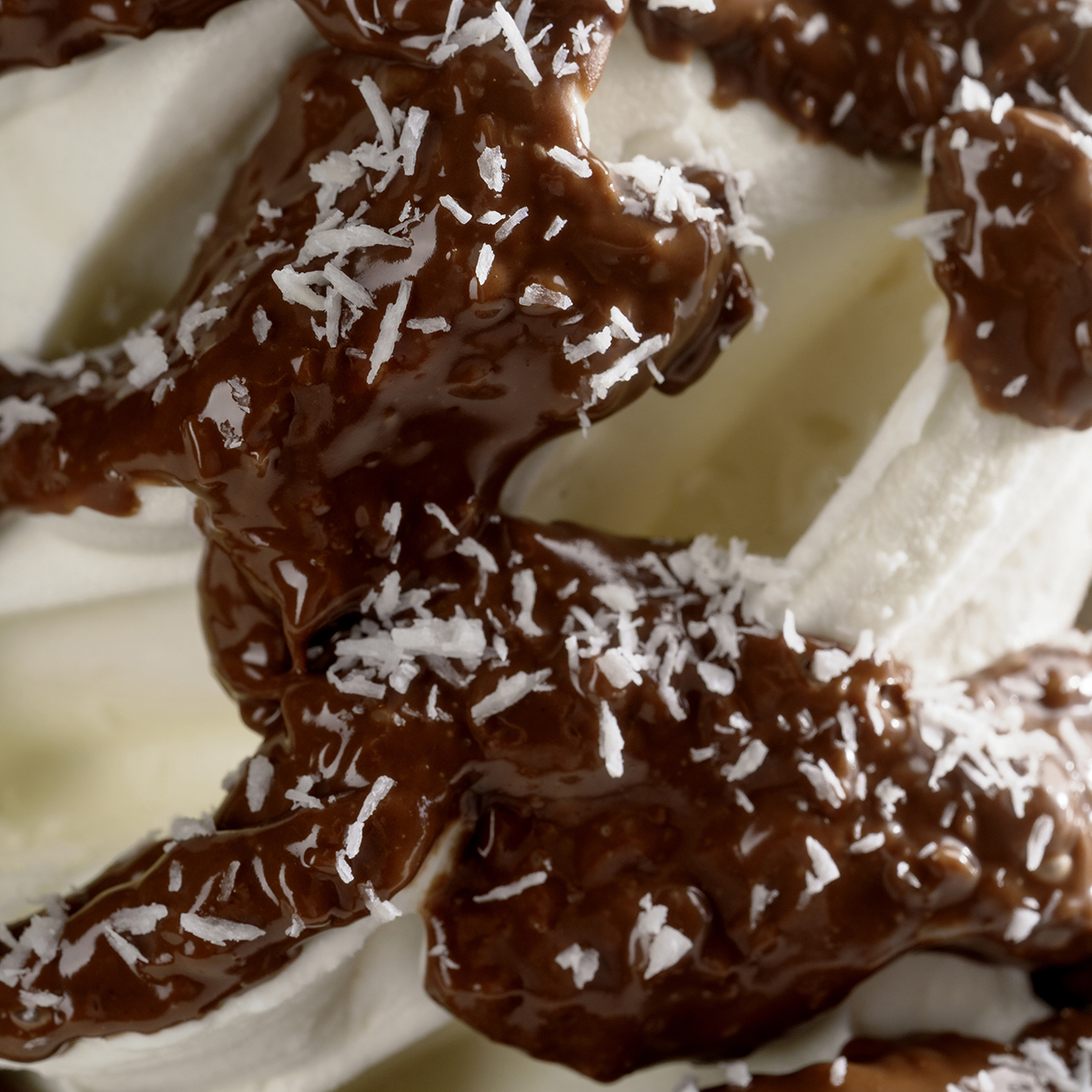 Joygelato - JOYCREAM COCONTY