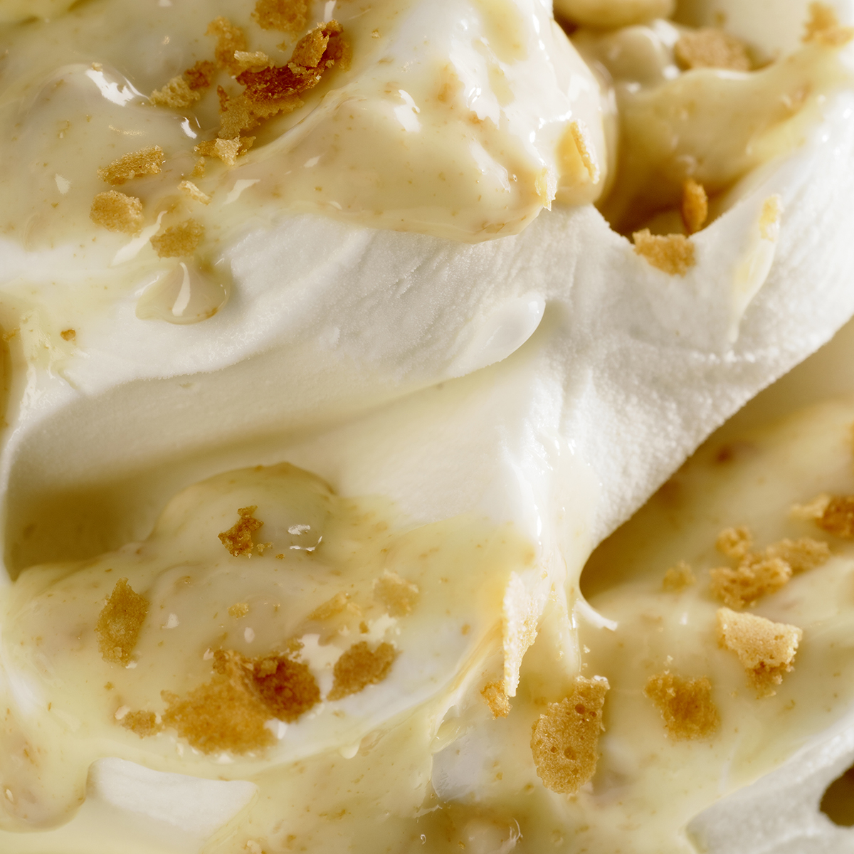 Joygelato - JOYCREAM WHITE CROCK