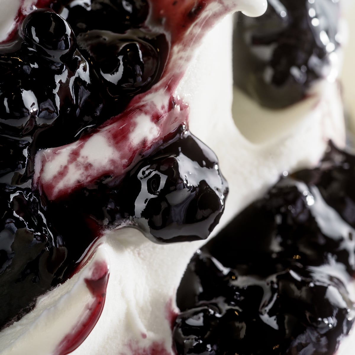 Joygelato - JOYFRUIT MIRTILLO