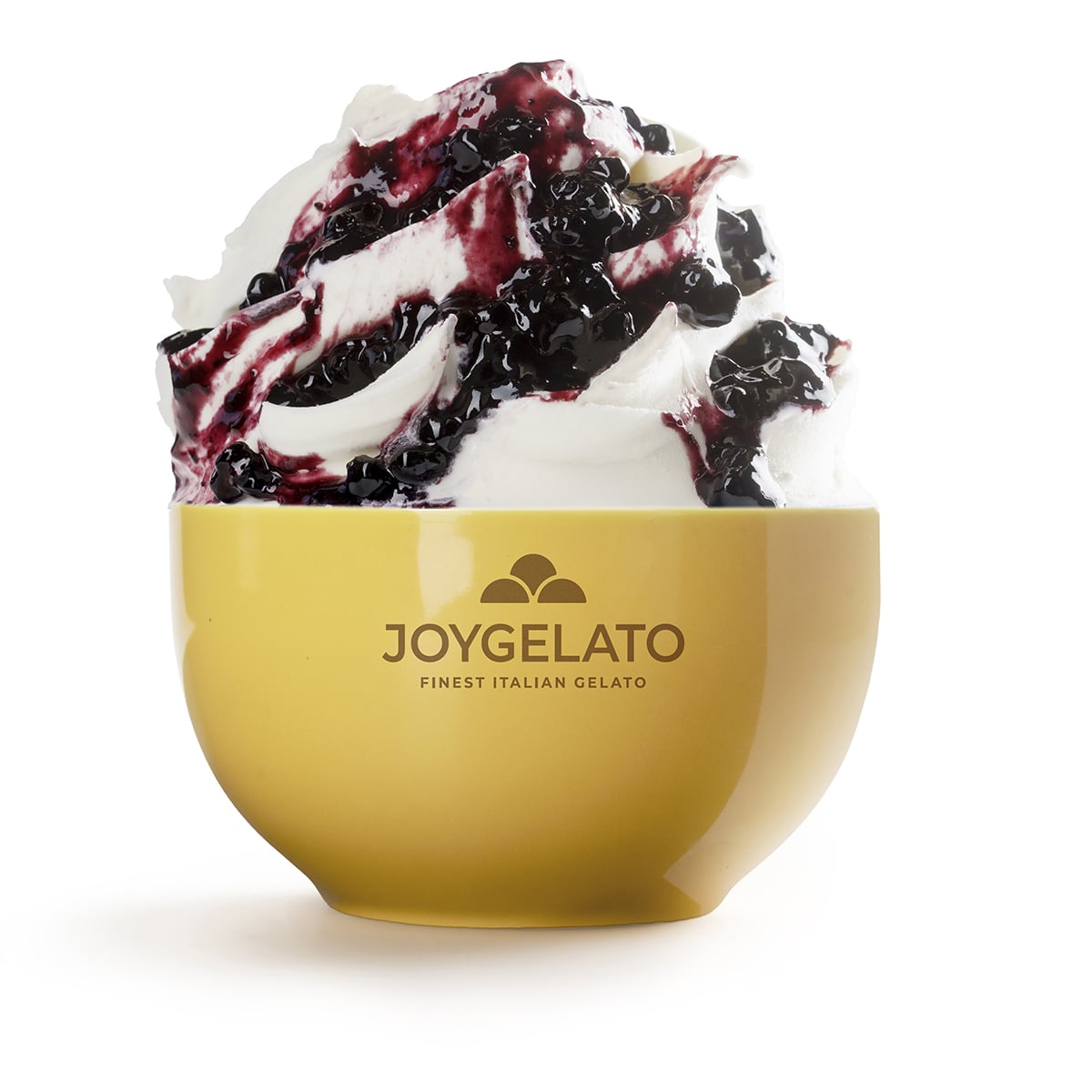 Joygelato - JOYFRUIT MIRTILLO