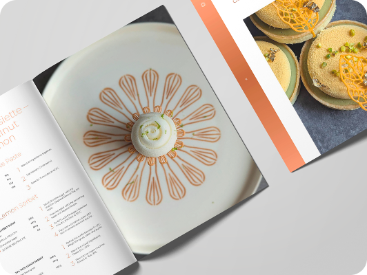 Maestro Circle - The Collection 2025