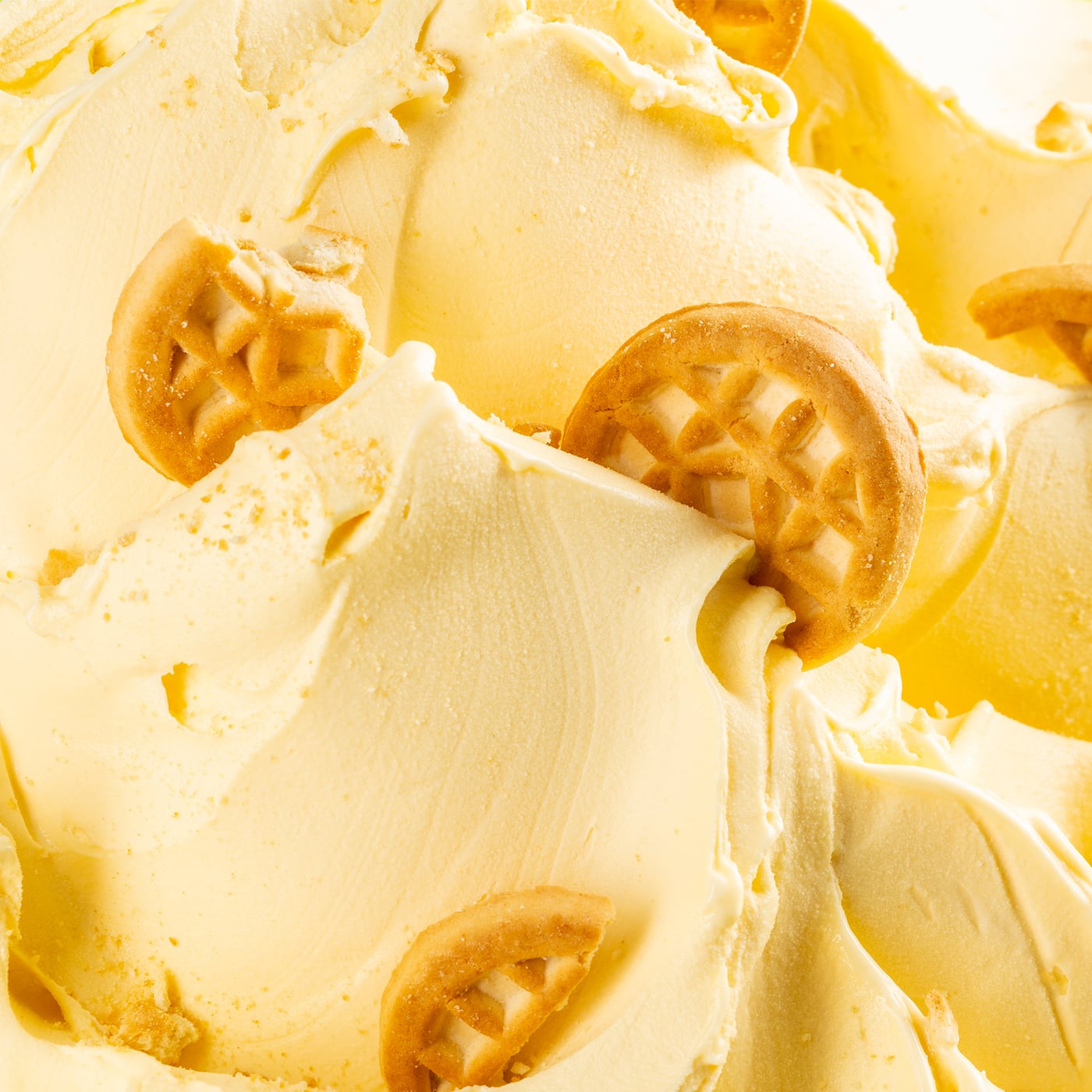 Joypaste Frollino - Joygelato