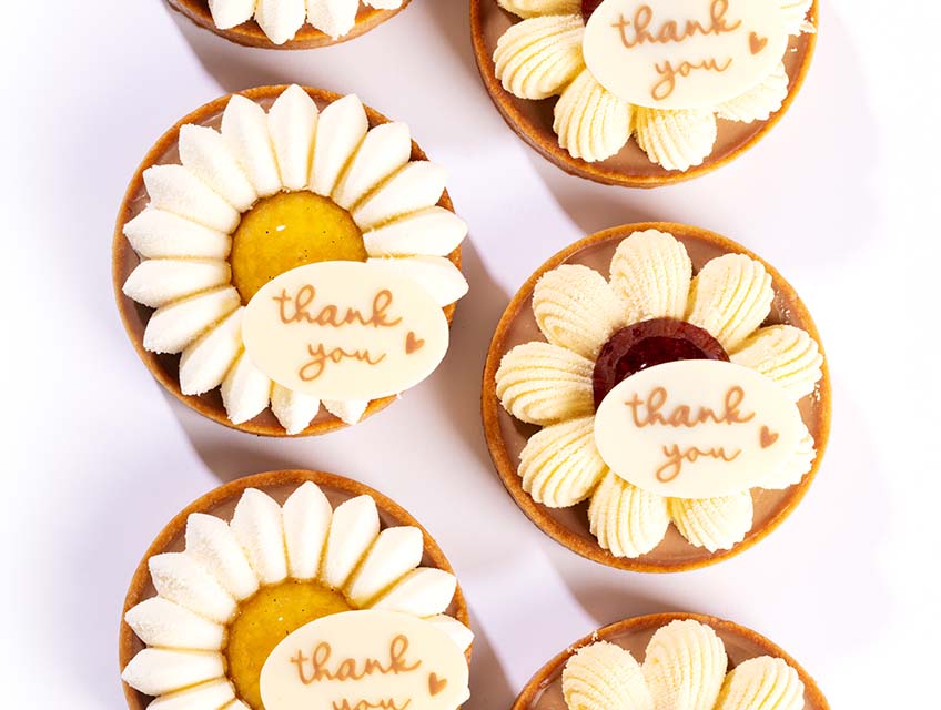 Pure Elegance Slider 6 848x640