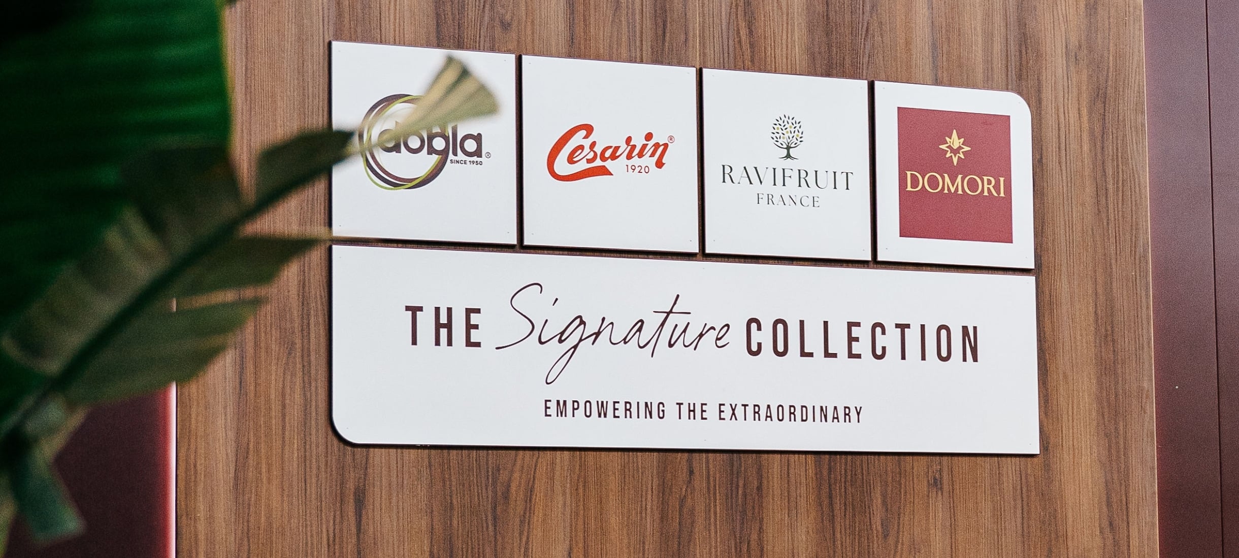 The Signature Collection - at Sigep 2026