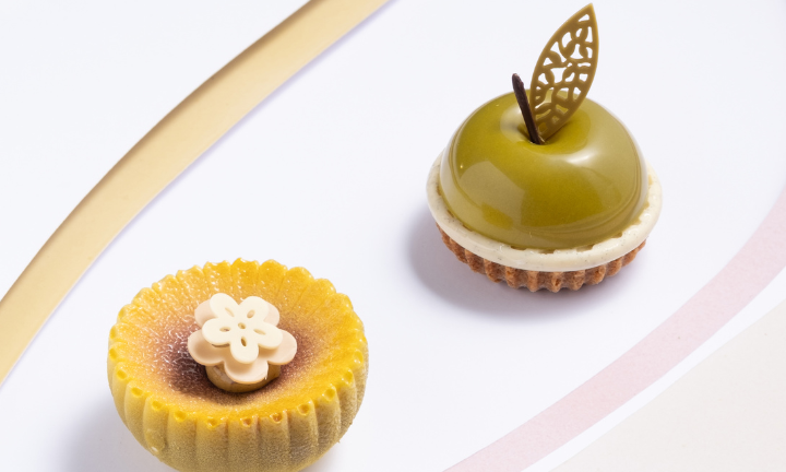 Dobla Collection 2026