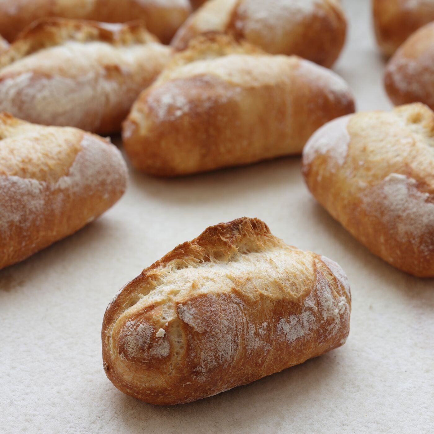 BIOCONCEPT APPLICATION IRCA