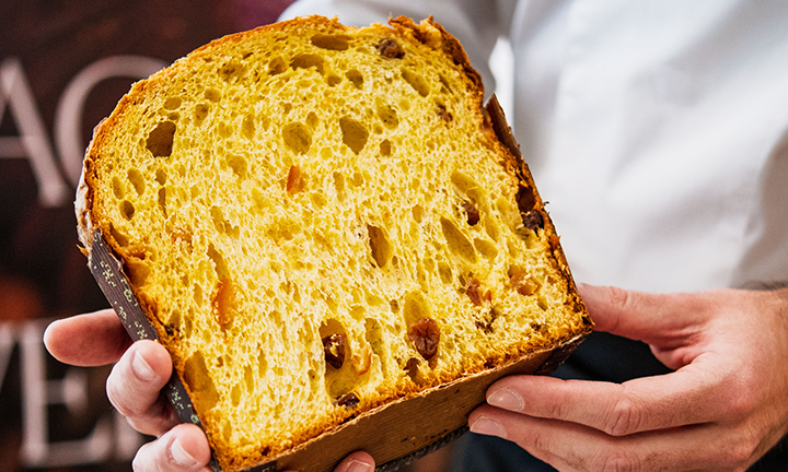 Classic Panettone
