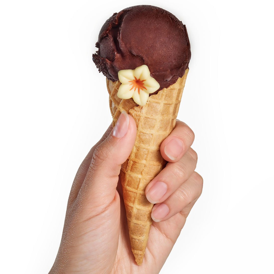 JOYQUICK NOIR ECUADOR