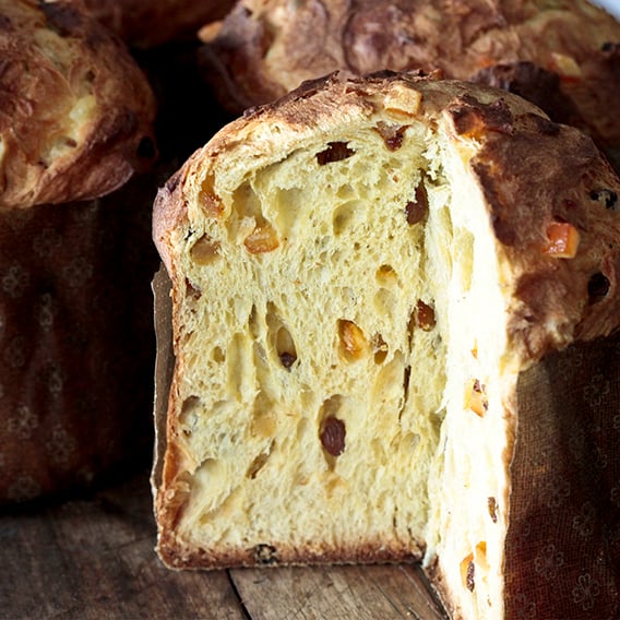 PANETTONE