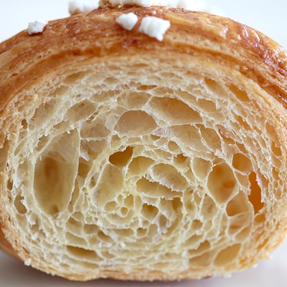 PANDORA GRAN SVILUPPO