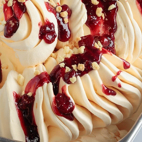 JOYPASTE CREMA PASTICCERA