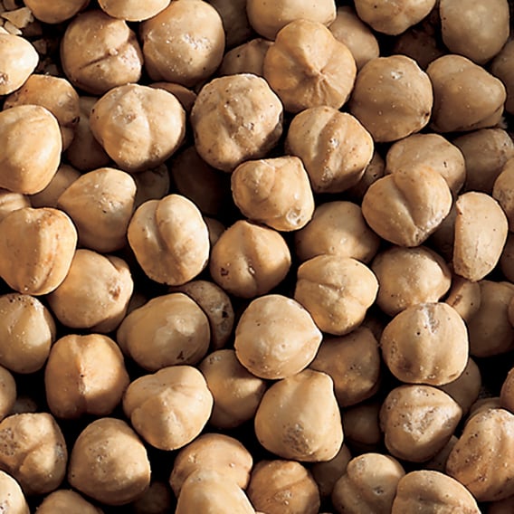 NOCCIOLE INTERE TOSTATE