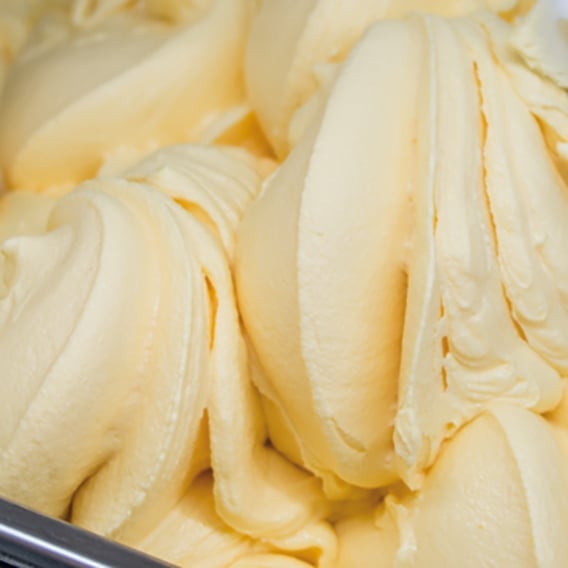 JOYQUICK PESCA GIALLA