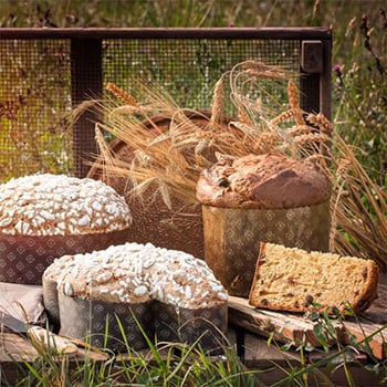 CEREAL'EAT LIEVITATI