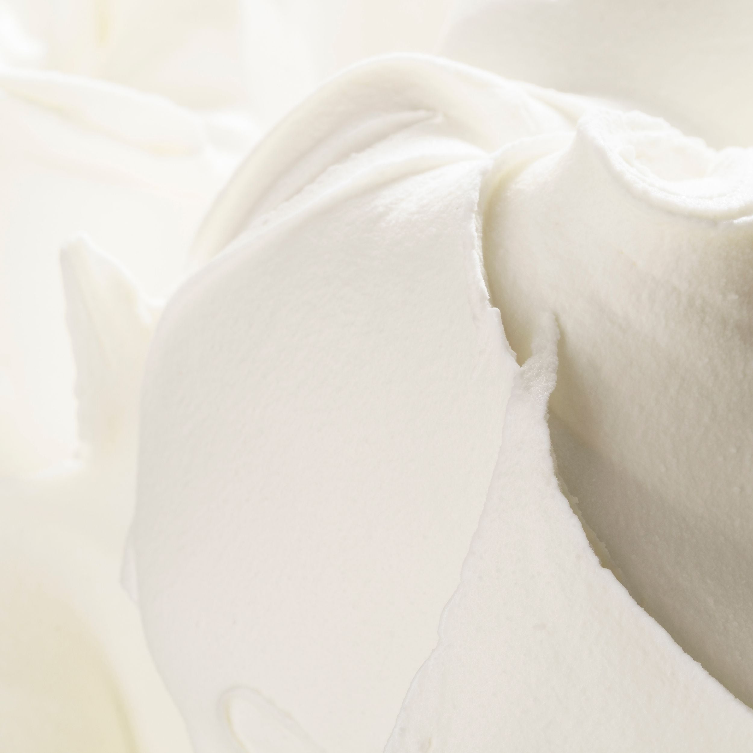 Base bianca per gelato - Passion Double