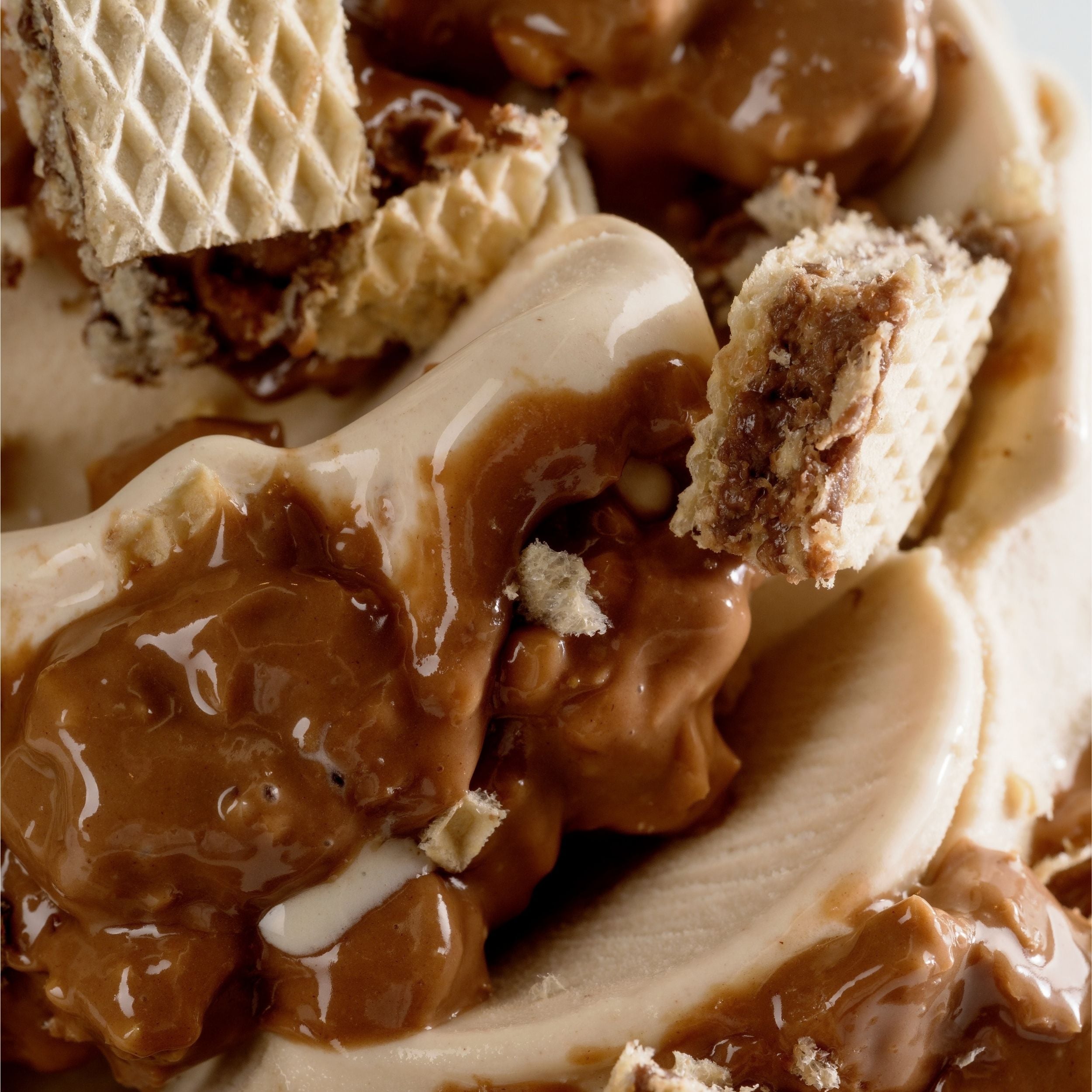 Wafernut Clair gelato
