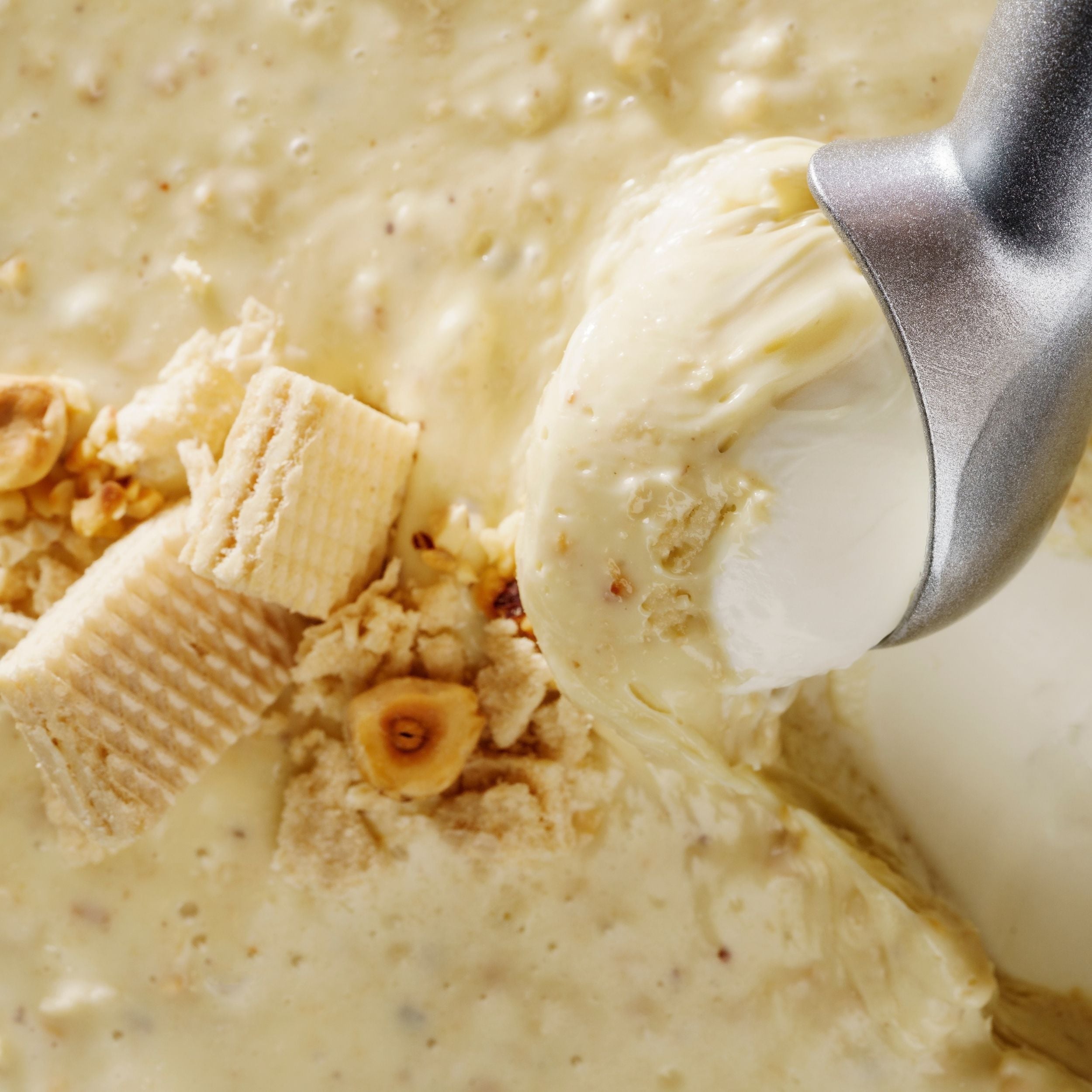 wafernut blanc - 2500x2500