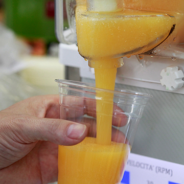 SORBETTI CON GRANITORE (JOYQUICK)