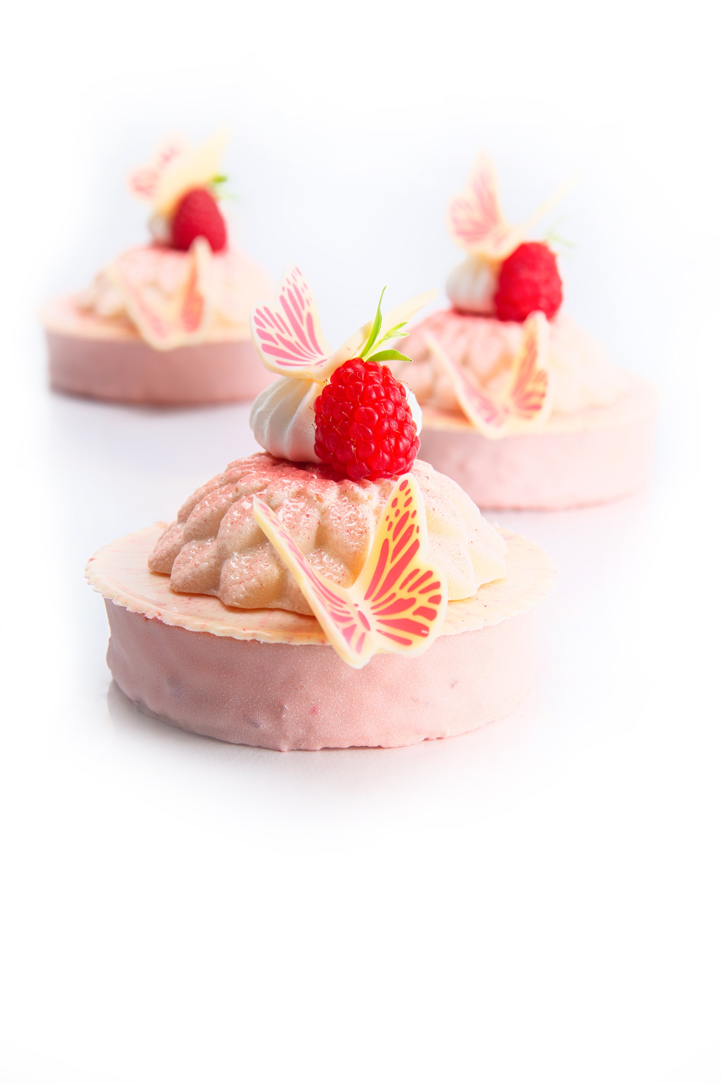 MONO CIOCCOLATO FONDENTE E LAMPONE