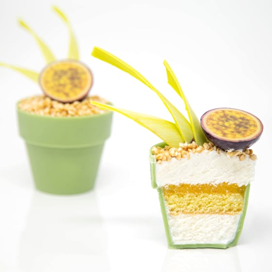 FLOWER POT Mandorla Esotica