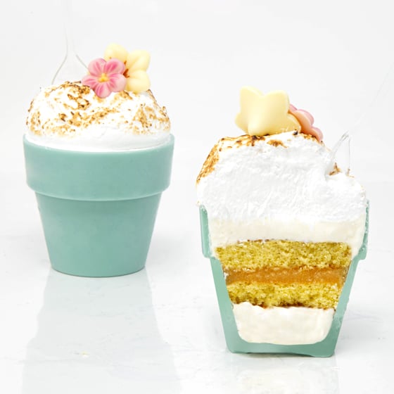 FLOWER POT BAKED ALASKA