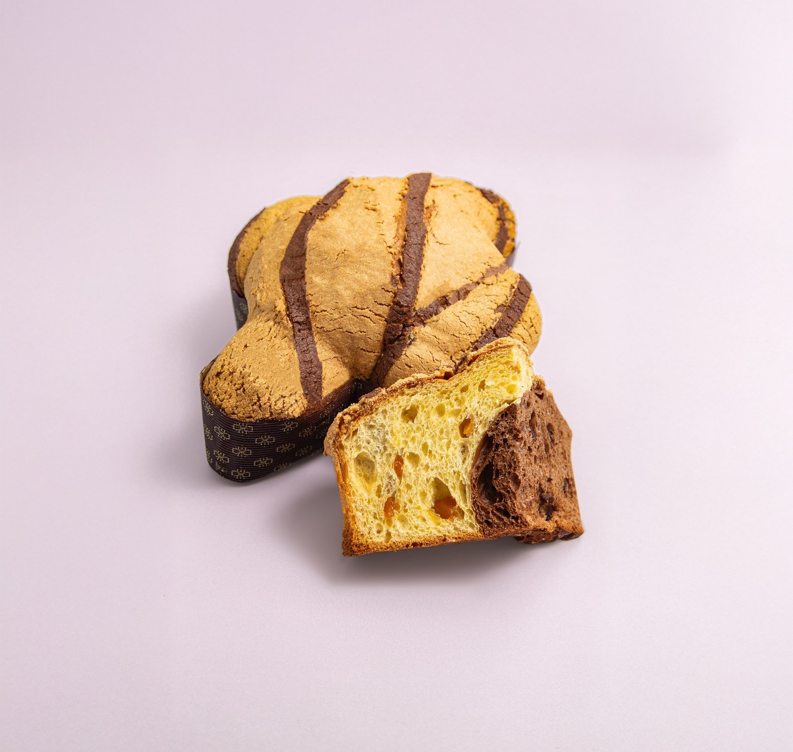 COLOMBA BICOLORE