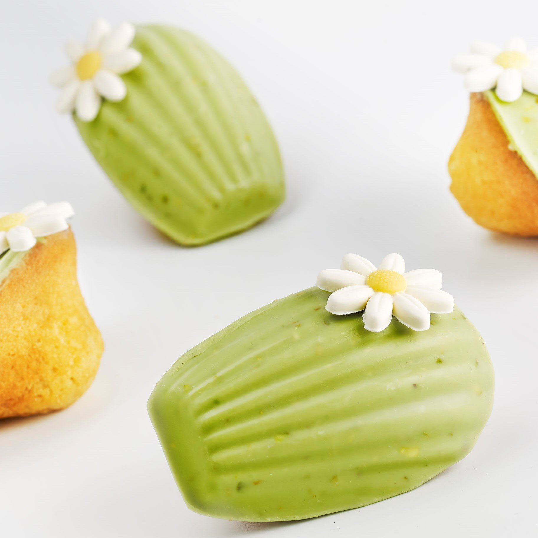 MADELEINE AL PISTACCHIO