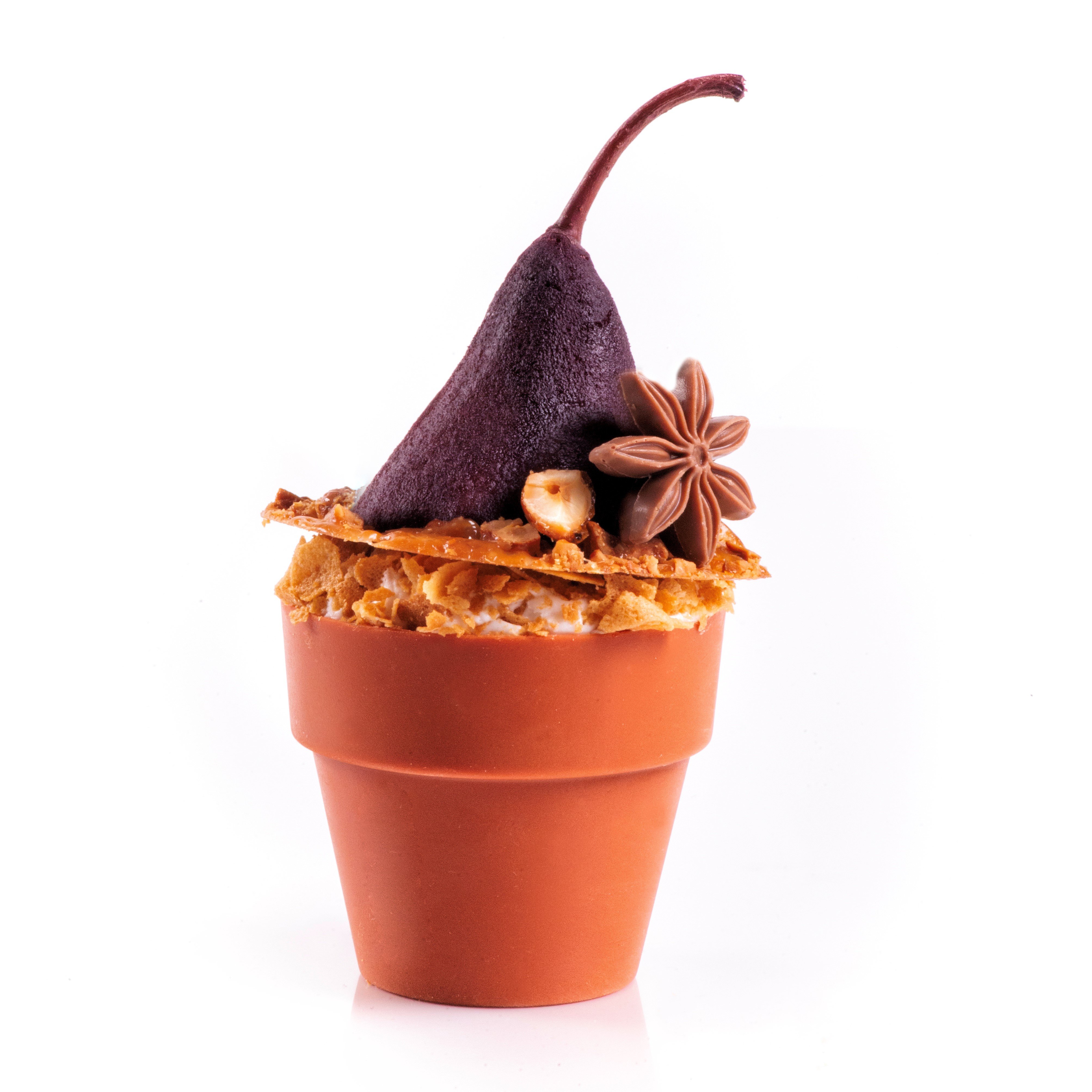 FLOWER POT PERA E CANNELLA