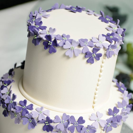 VICTORIA SPONGE CAKE-BASE PER TORTE MONUMENTALI