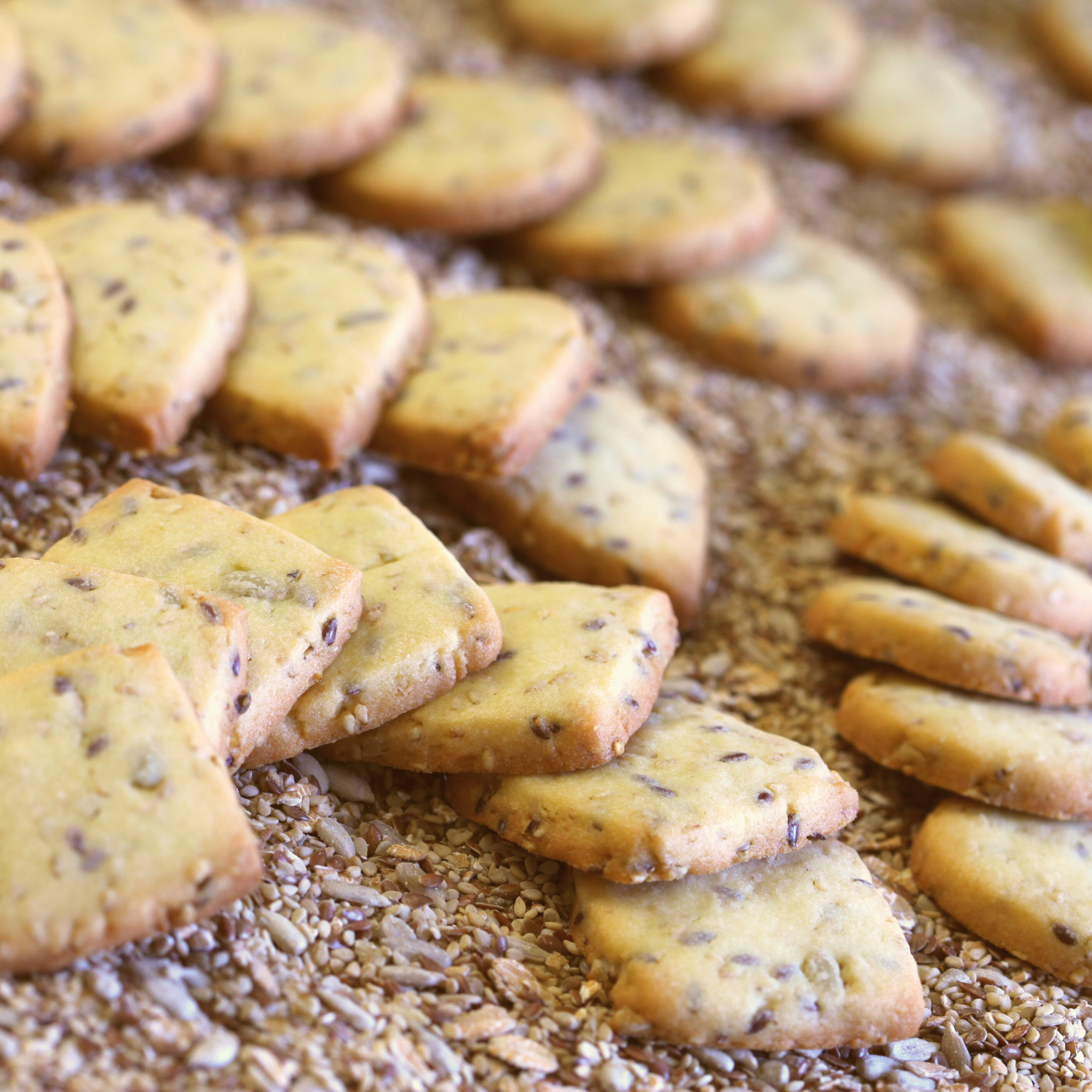 BISCOTTI MULTICEREALI E MULTISEMI (MULTIGRAIN FIT 50%)