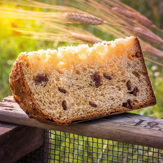 PANETTONE AI CEREALI E SEMI