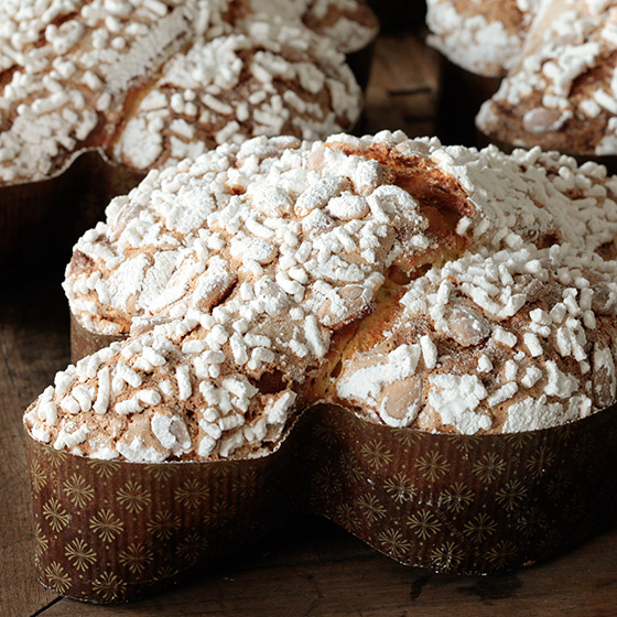 COLOMBA RICETTA PLATINUM (DOLCE FORNO MAESTRO)