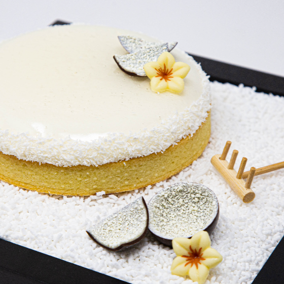 TROPICAL ZEN TART COCCO