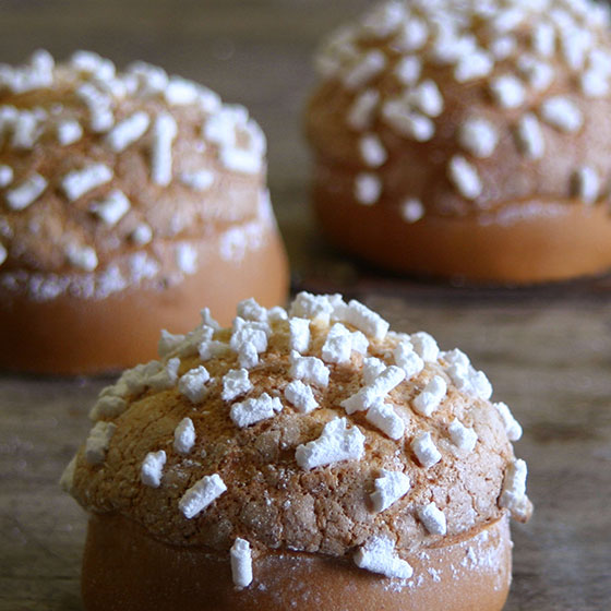 VENEZIANE SENZA STAMPO