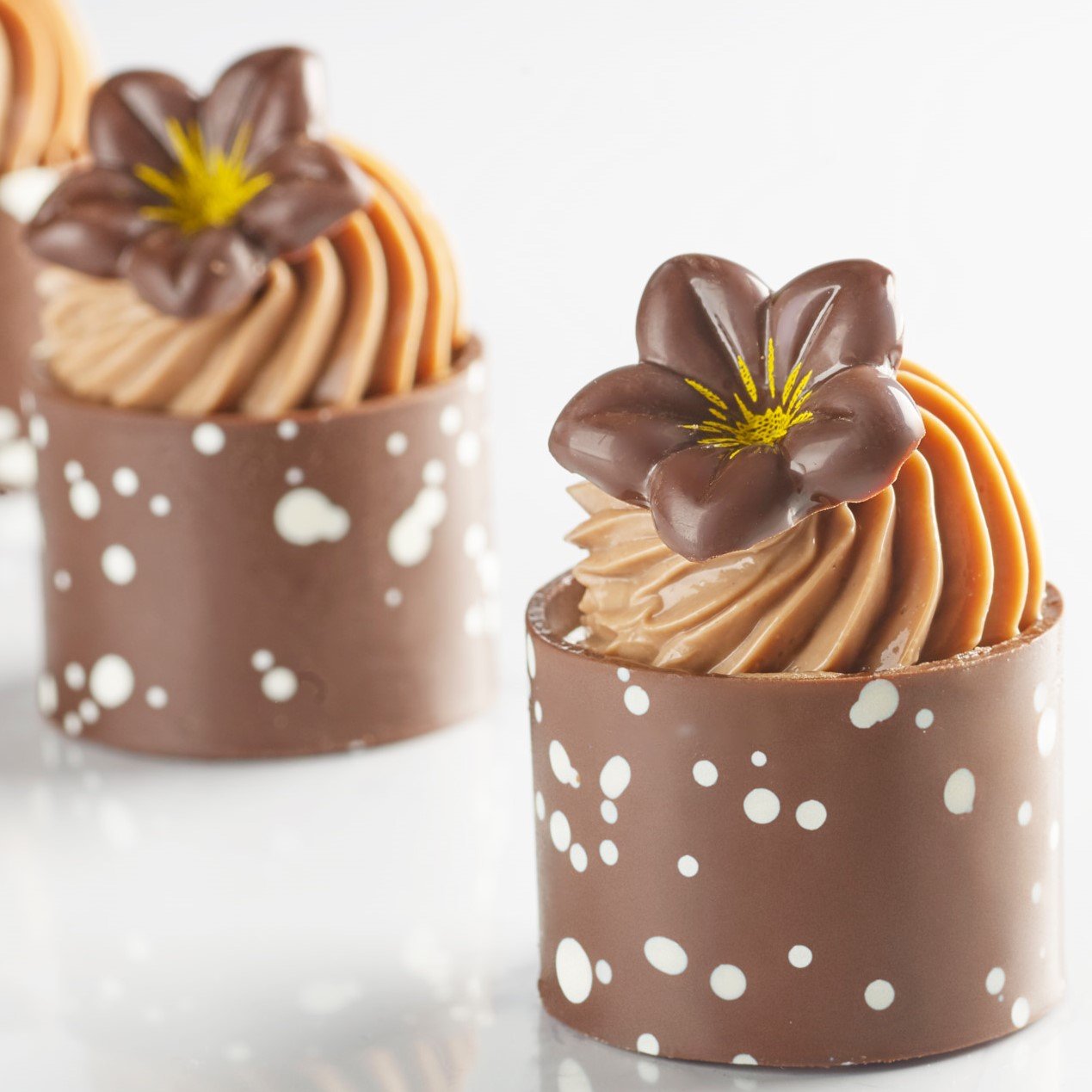 MINI CYLINDER - CHOCOLATE DARK