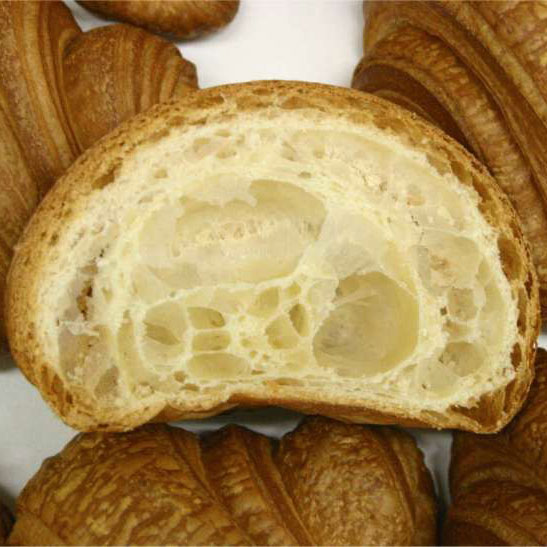 CROISSANT (NATUR ACTIV - PANDORA G.S.)