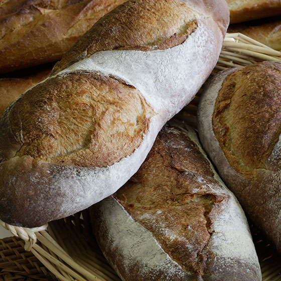 PAN DI CAMPAGNA (NATUR ACTIV)