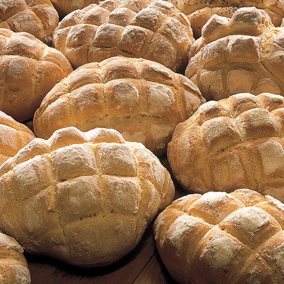 PANE TARTARUGA