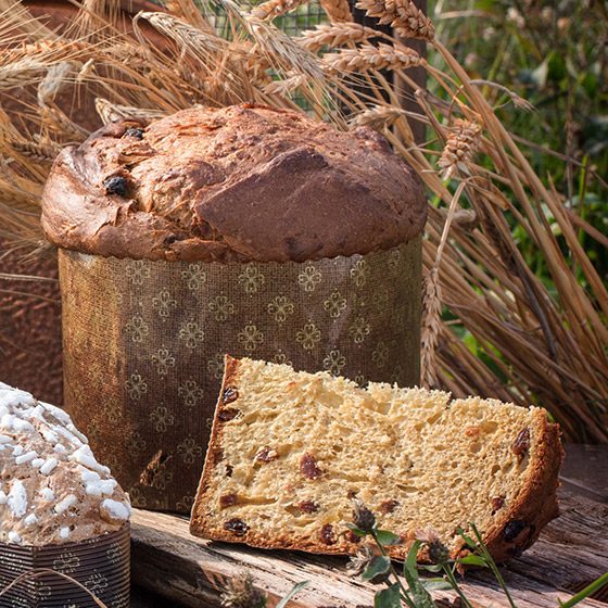 PANETTONE AI CEREALI