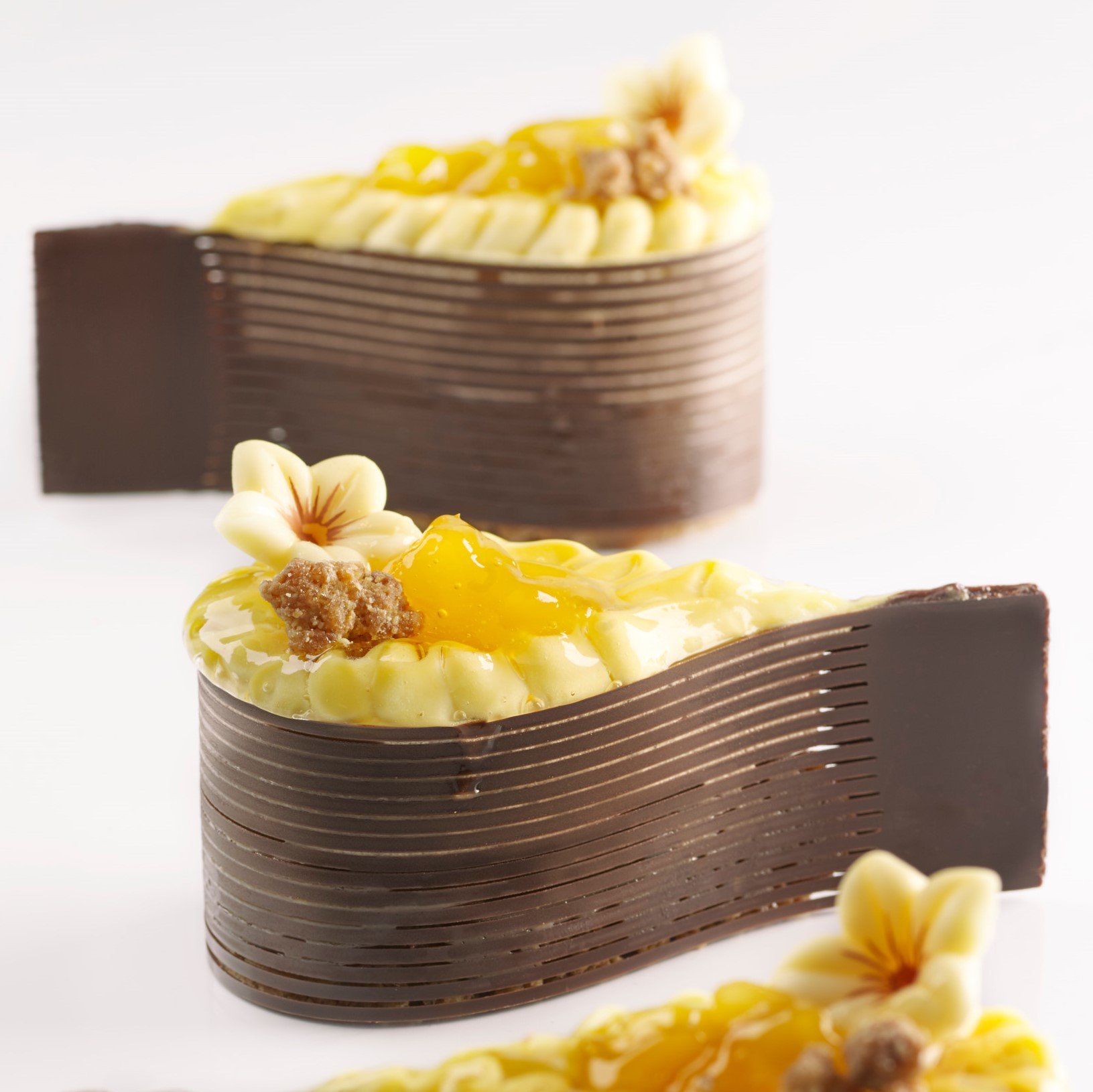 TEARDROP TROPICAL HAZELNUT